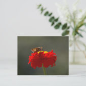Moth and Red Zinnia Postkarte (Stehend Vorderseite)