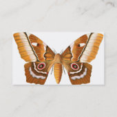 Moth Business Card - für Lepidopterist Visitenkarte (Rückseite)