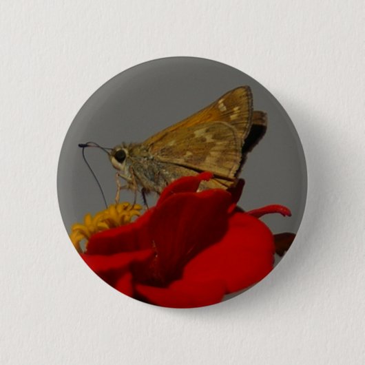 Moth Button (Vorderseite)