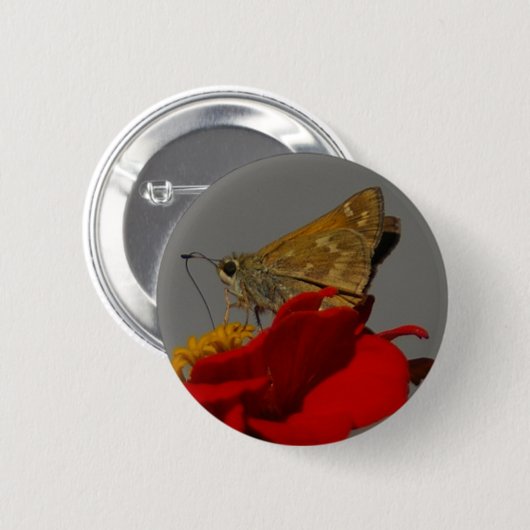Moth Button (Vorne & Hinten)
