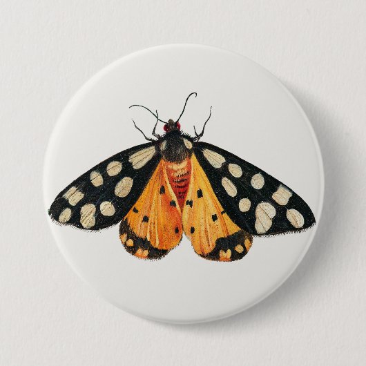 Moth Button (Vorderseite)
