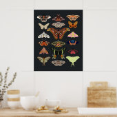 Moth Cotgattcore Insektenkunst Poster (Küche)