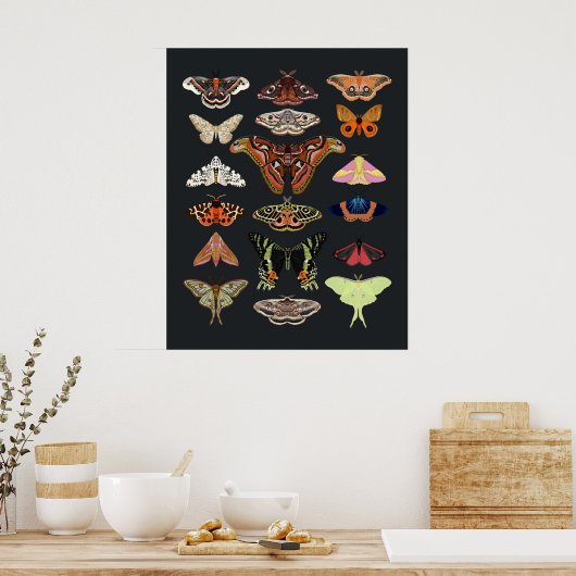 Moth Cotgattcore Insektenkunst Poster (Küche)