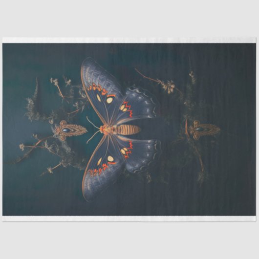 Moth Dark Academia 1 Dekoupage Paper Seidenpapier (Vorderseite)