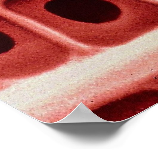 Moth - Flügelskala Poster (Ecke)