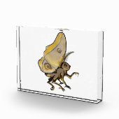 Moth Fotoblock (Rechts)