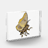Moth Fotoblock (Links)