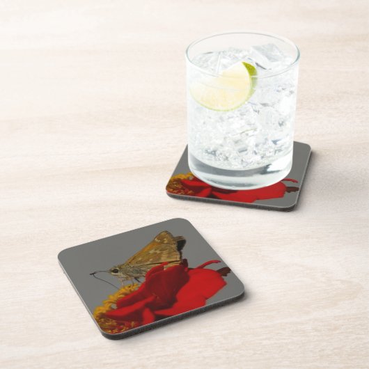 Moth Getränkeuntersetzer (Rechte Seite)