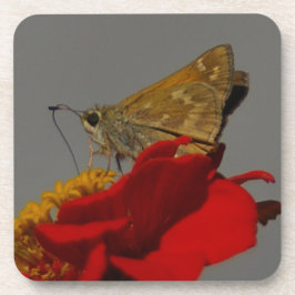 Moth Getränkeuntersetzer