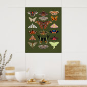 Moth illustriert Insekten Plakatkunst Poster (Küche)