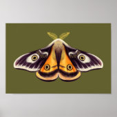 Moth Insect Art Goblincore Saturnia Witchy Green Poster (Vorne)