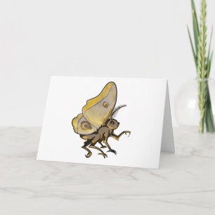 Moth Karte