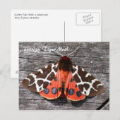 Moth Magic: Garden Tiger Moth postcard Postkarte (Vorne/Hinten)