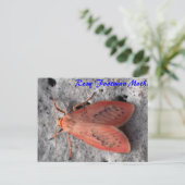 Moth Magic: Rosy Footman Moth Postcard Postkarte (Stehend Vorderseite)