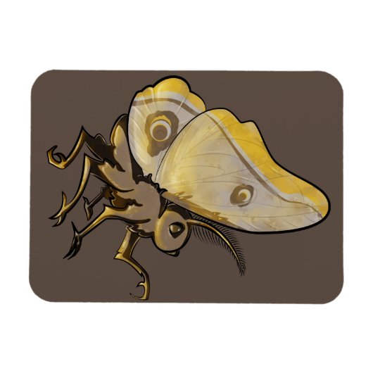 Moth Magnet (Horizontal)