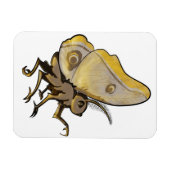 Moth Magnet (Horizontal)