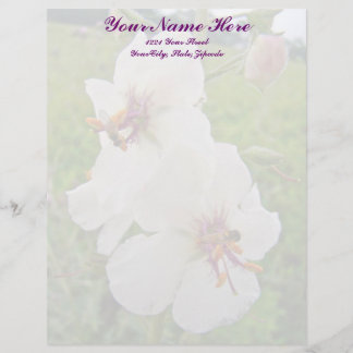 Moth Mullein Wildblume Letterhead Briefbogen