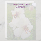 Moth Mullein Wildblume Letterhead Briefbogen (Vorne/Hinten)