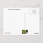 Moth Mullein Wildblume Postkarte (Rückseite)