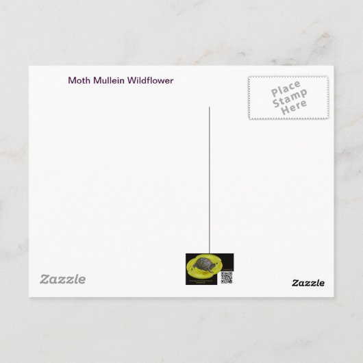 Moth Mullein Wildblume Postkarte (Rückseite)