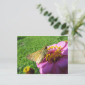 Moth on Blume Postkarte (Stehend Vorderseite)