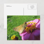 Moth on Blume Postkarte (Vorne/Hinten)