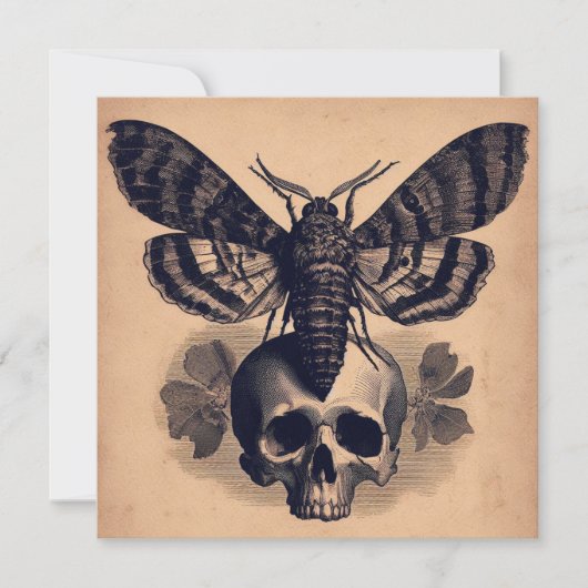 Moth on Skull Antique Goth Horror Illustration Karte (Vorderseite)