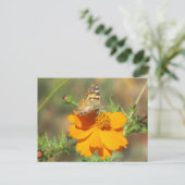 Moth on Yellow Blume Postkarte (Stehend Vorderseite)