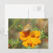 Moth on Yellow Blume Postkarte (Vorne/Hinten)