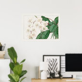 Moth Orchid Blume, Phalaenopsis, Tanigami Konan, Poster (Heimbüro)