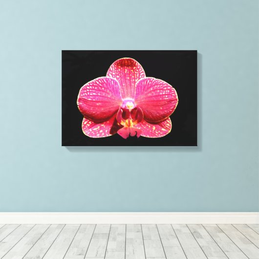 Moth Orchid Canvas Print Leinwanddruck (Insitu (Holzboden))