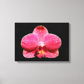 Moth Orchid Canvas Print Leinwanddruck (Vorderseite)