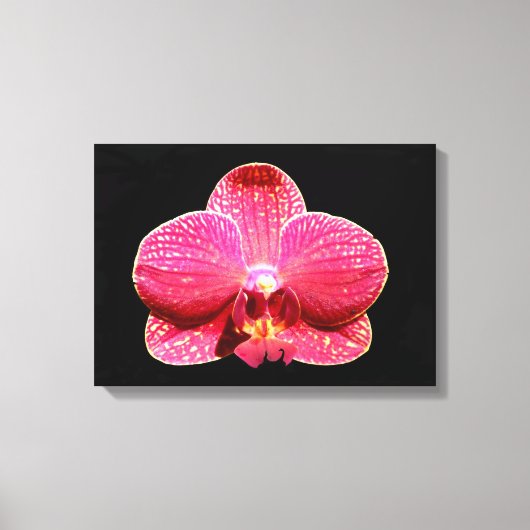Moth Orchid Canvas Print Leinwanddruck (Vorderseite)