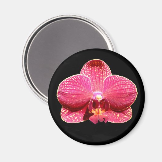 Moth Orchid Magnet (Vorderseite/Rückseite)