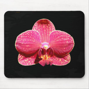 Moth Orchid Mouse Mat Mousepad