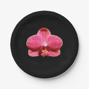 Moth Orchid Paper Plate Pappteller