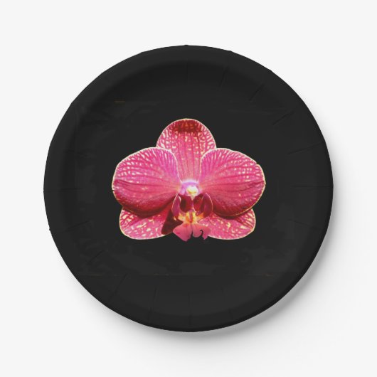 Moth Orchid Paper Plate Pappteller (Vorderseite)