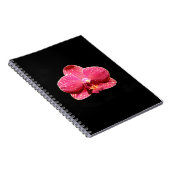 Moth Orchid Spiral Notebook Notizblock (Rechte Seite)