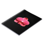 Moth Orchid Spiral Notebook Notizblock (Linke Seite)