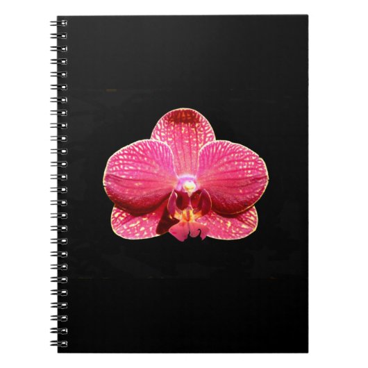 Moth Orchid Spiral Notebook Notizblock (Vorderseite)