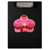 Moth Orchid-Zwischenablage Klemmbrett (Vorderseite)
