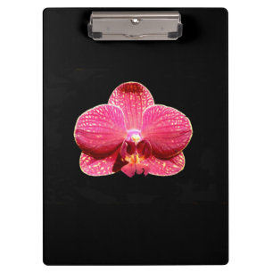 Moth Orchid-Zwischenablage Klemmbrett