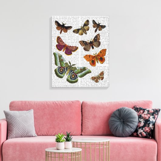 Moth Plate 2 Leinwanddruck (Insitu (Wohnzimmer))