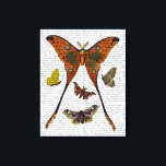 Moth Plate 2 Leinwanddruck<br><div class="desc">Tiere & Natur</div>