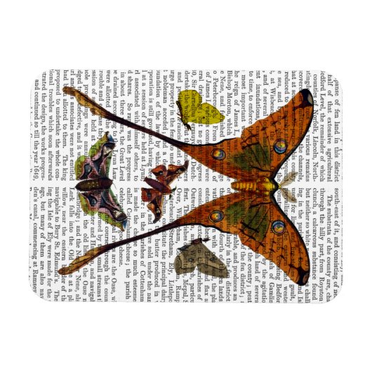 Moth Plate 2 Magnet (Horizontal)