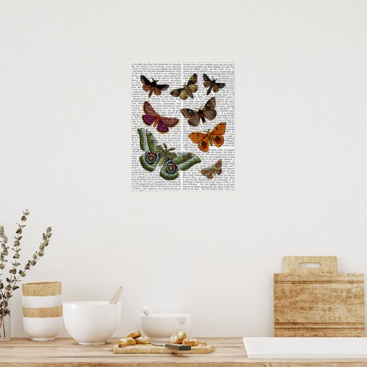 Moth Plate 2 Poster (Küche)