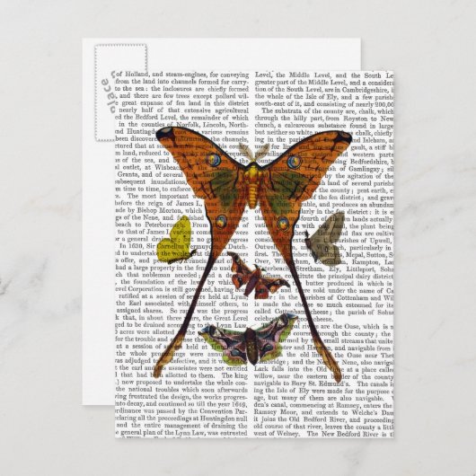 Moth Plate 2 Postkarte (Vorne/Hinten)