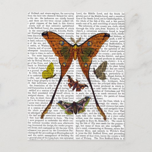 Moth Plate 2 Postkarte (Vorderseite)