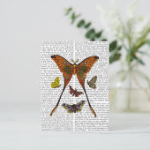 Moth Plate 2 Postkarte (Stehend Vorderseite)