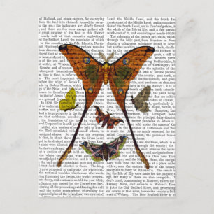Moth Plate 2 Postkarte